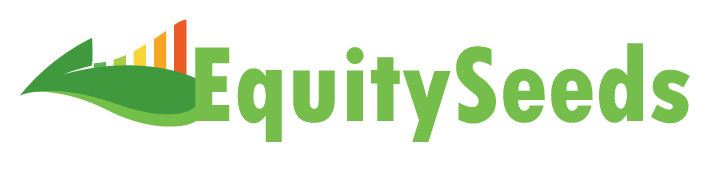 EquitySeeds Consultants