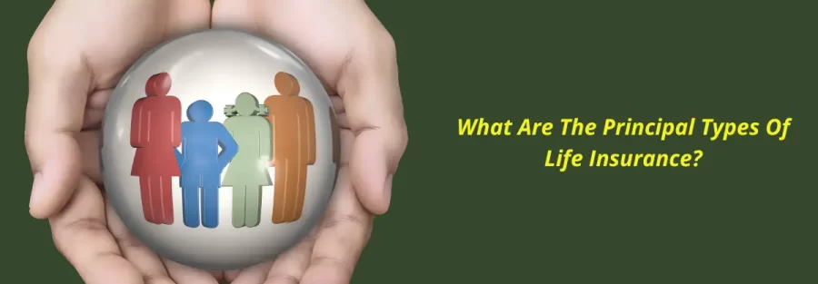 What Are The Principal Types Of Life Insurance