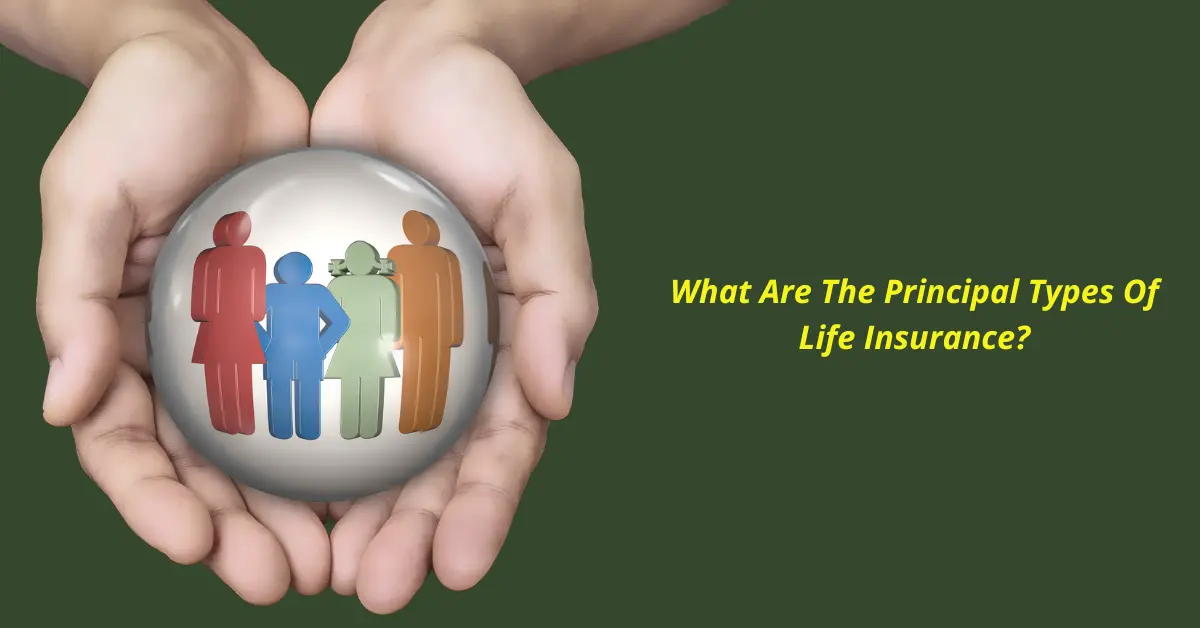 What Are The Principal Types Of Life Insurance